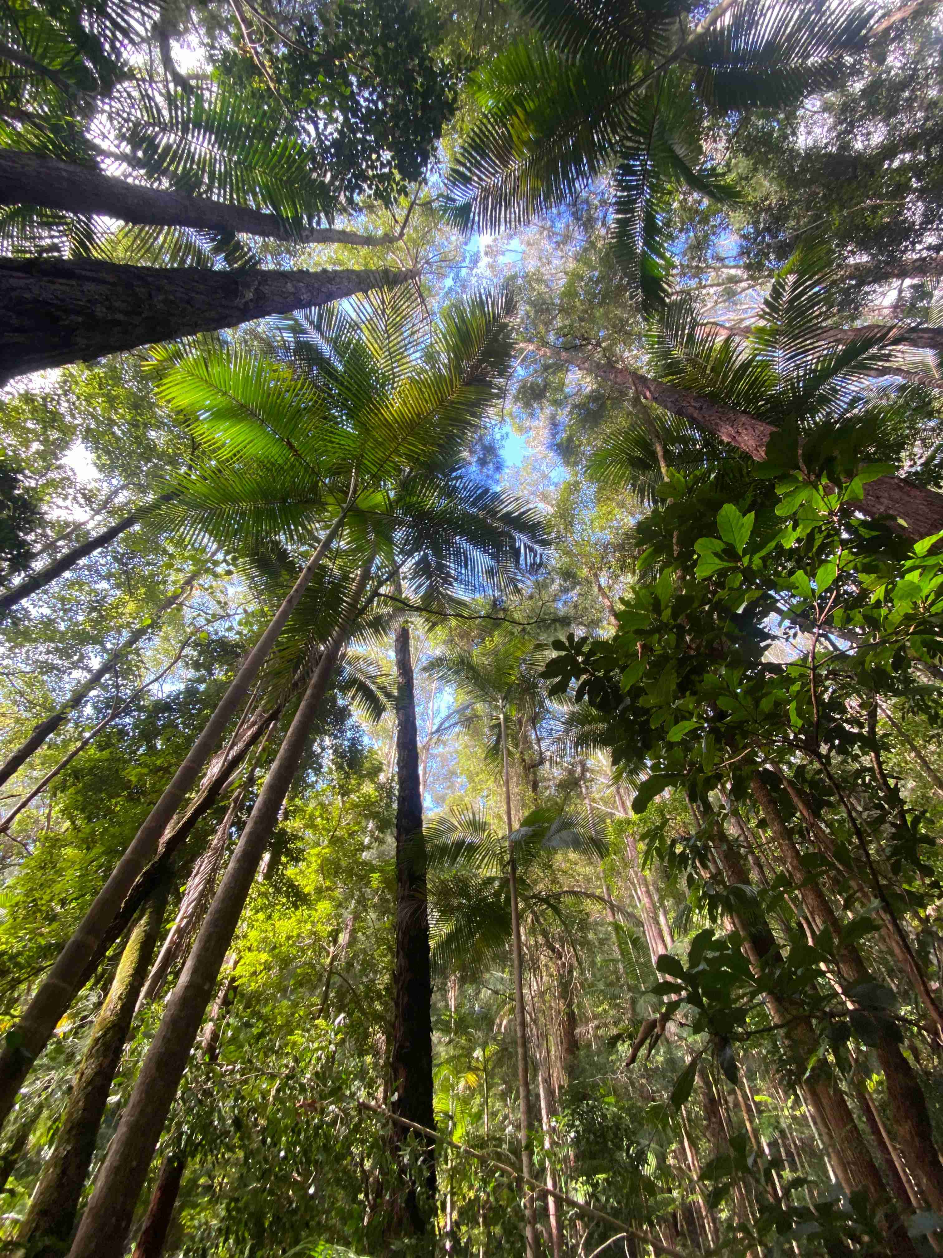 Meditazione per la Pace Planetaria